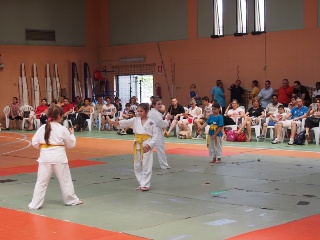 Image description